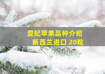 爱妃苹果品种介绍 新西兰进口 20粒